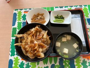 宇奈月温泉駅周辺
釜飯も捨てがたい