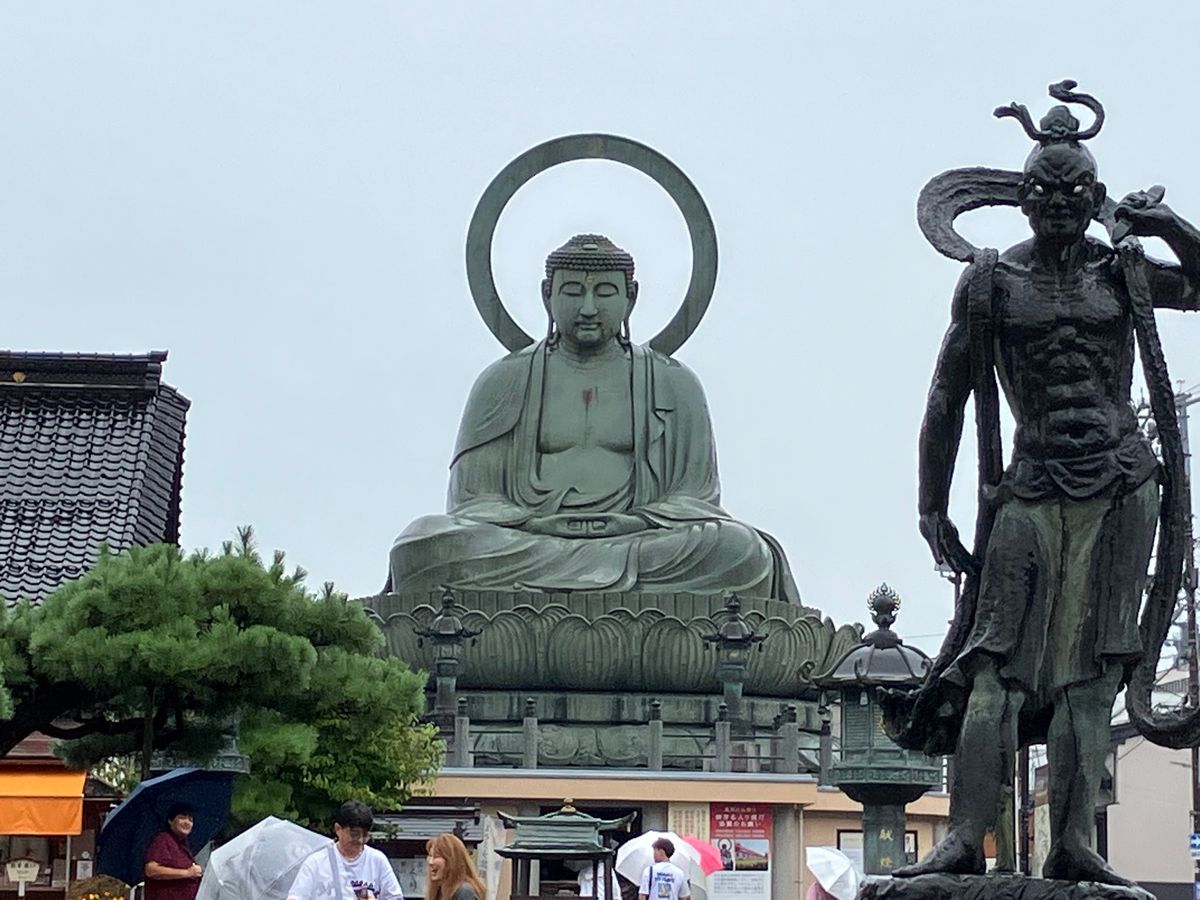 雨晴海岸から立山は見えず。雨天のため電車の中から日本海を鑑賞