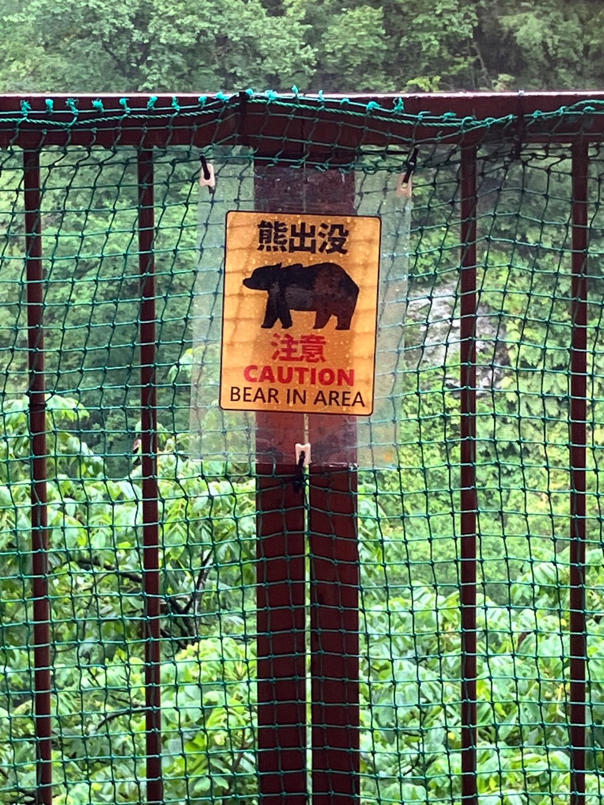 当日でもトロッコ列車乗れた。
雨天で水は濁っているけど、迫力がすごい