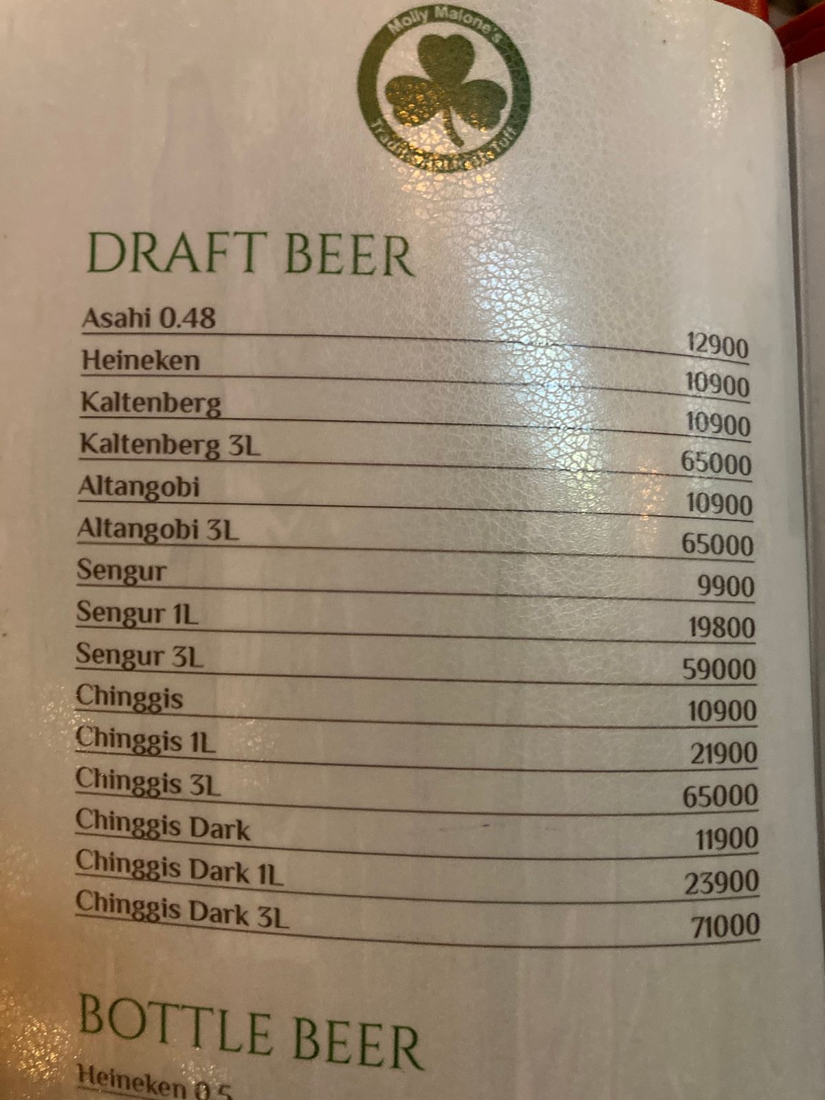 ウランバートル
20時半でもまだ明るい。近くにあったビアホールへ。適当に生...