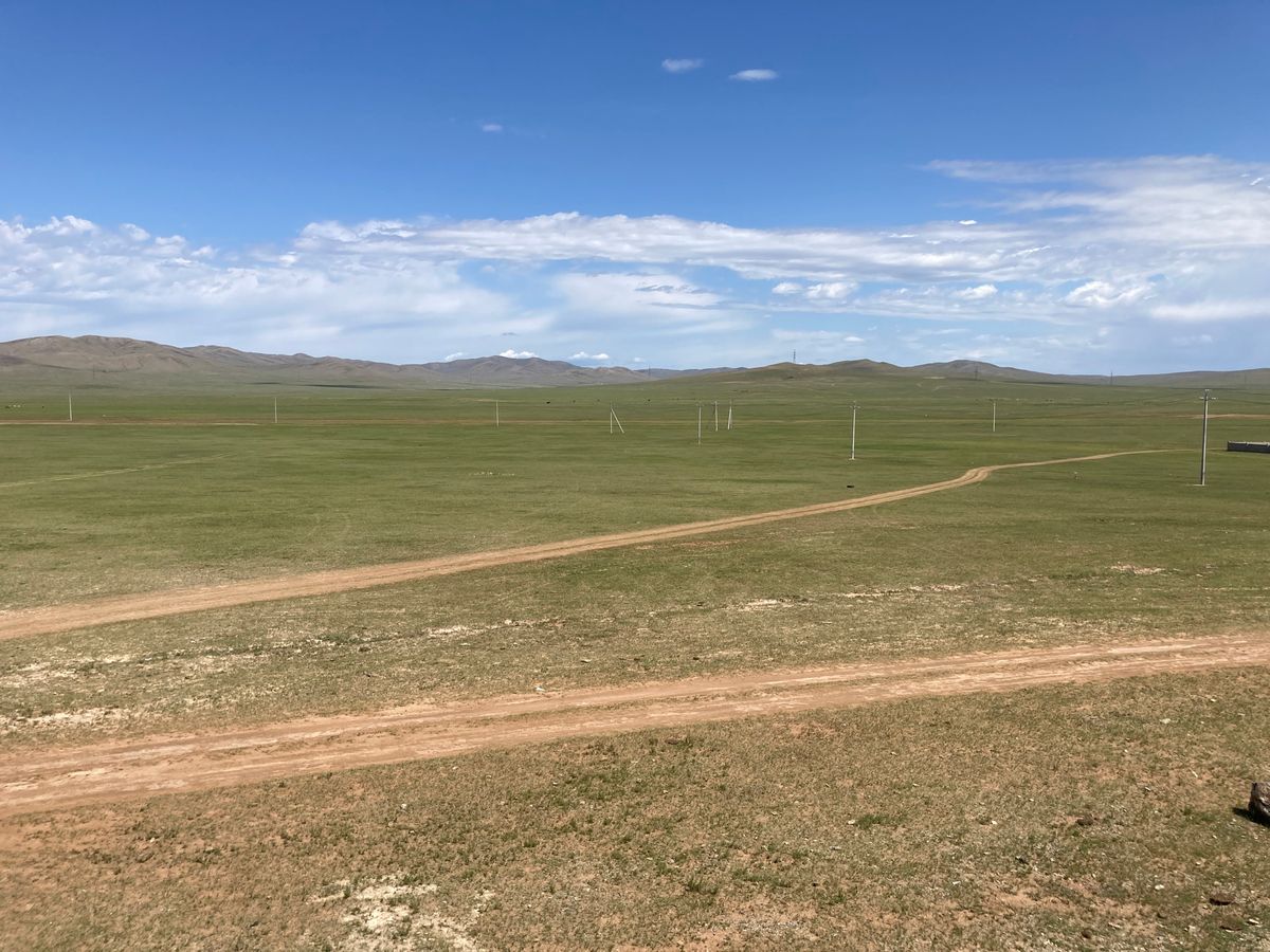 現地ツアーはちょっと退屈そうな気もしたので、公共交通機関が不便なモンゴルで...