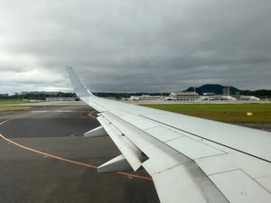 岡本屋売店の地獄蒸しプリン
大分空港の足湯から羽田へ