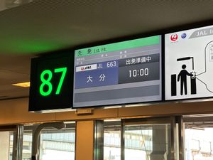 羽田から大分到着
鳥唐揚、地獄蒸し、鬼山地獄