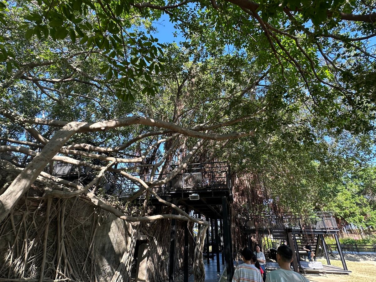 12/30
台南観光
蝦仁飯から始まった1日は安平樹屋と老街
豆花と水果で...