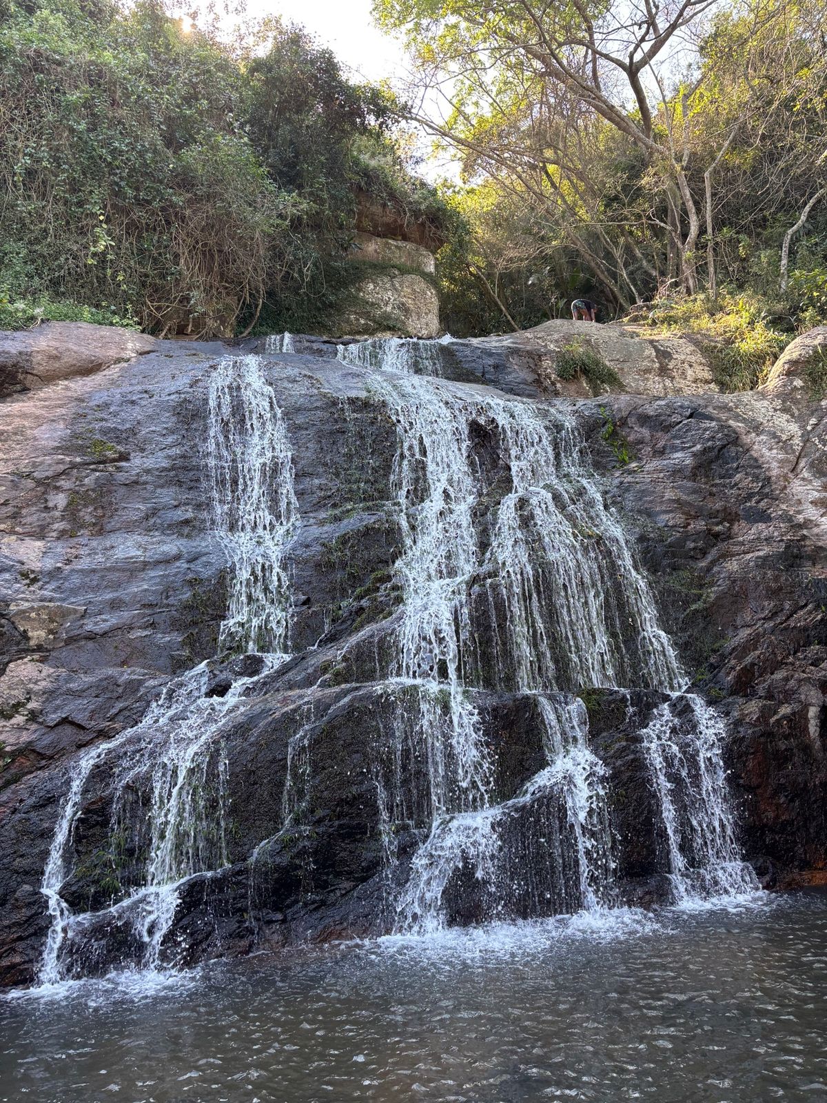 家族でギバジョージへ行き、森の探索をしながら滝まで歩きました。ここでは自転...
