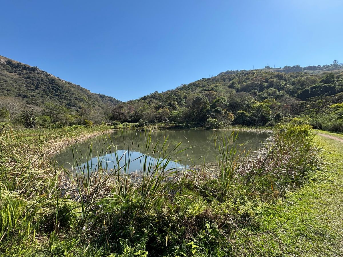 家族でギバジョージへ行き、森の探索をしながら滝まで歩きました。ここでは自転...