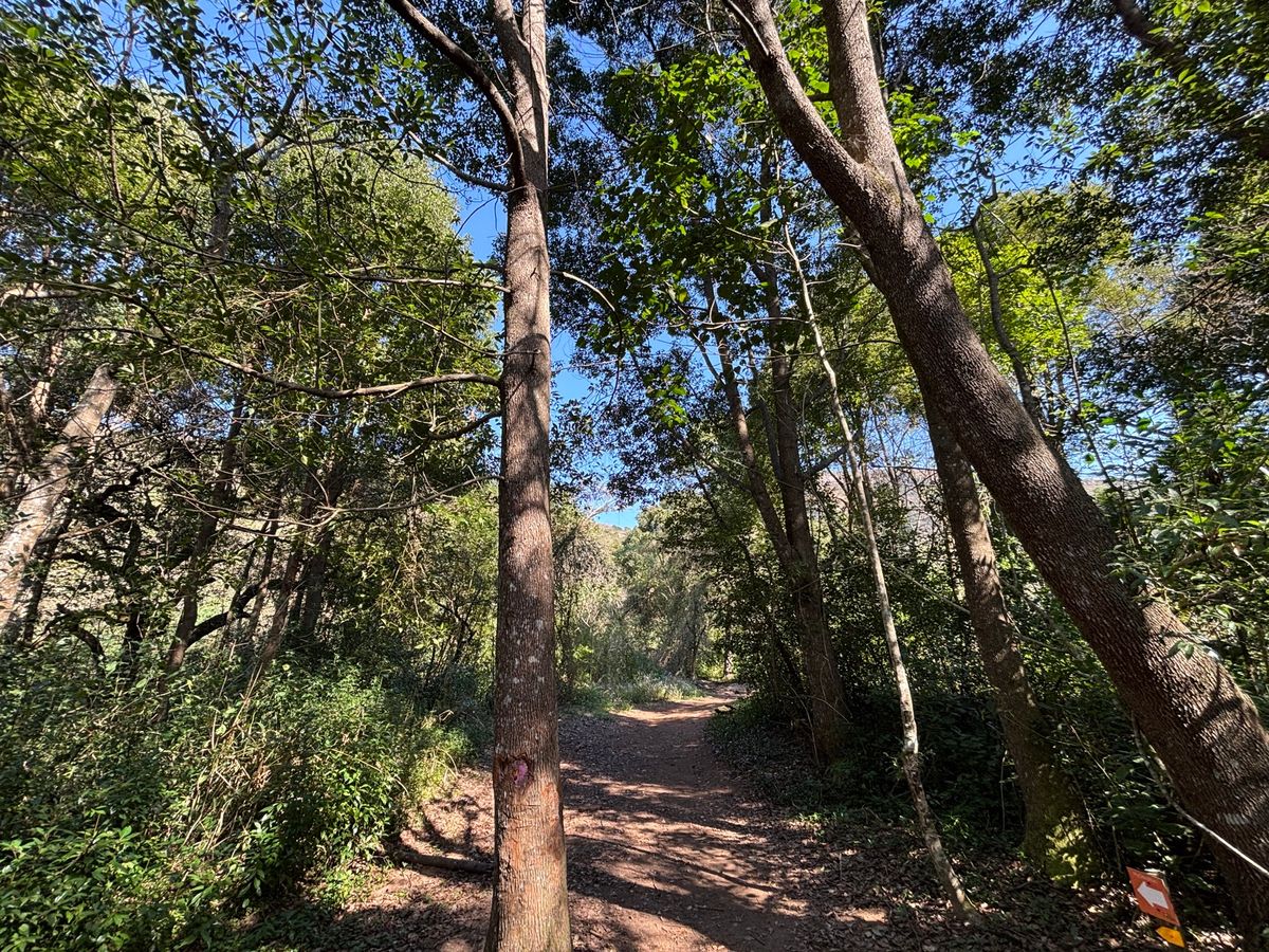 家族でギバジョージへ行き、森の探索をしながら滝まで歩きました。ここでは自転...