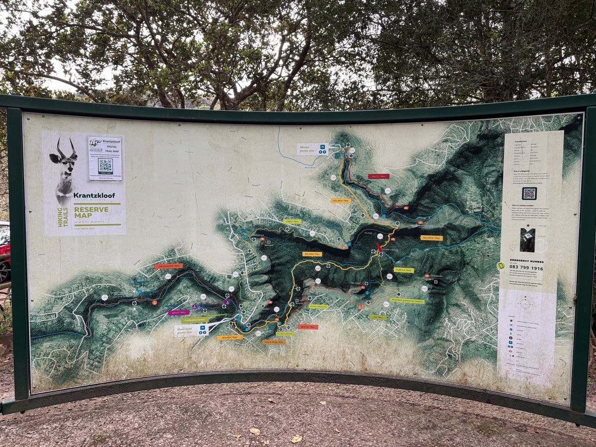 家族で森の探索へ行って来ました。ここは長短いろんなトレッキングコースが設定...