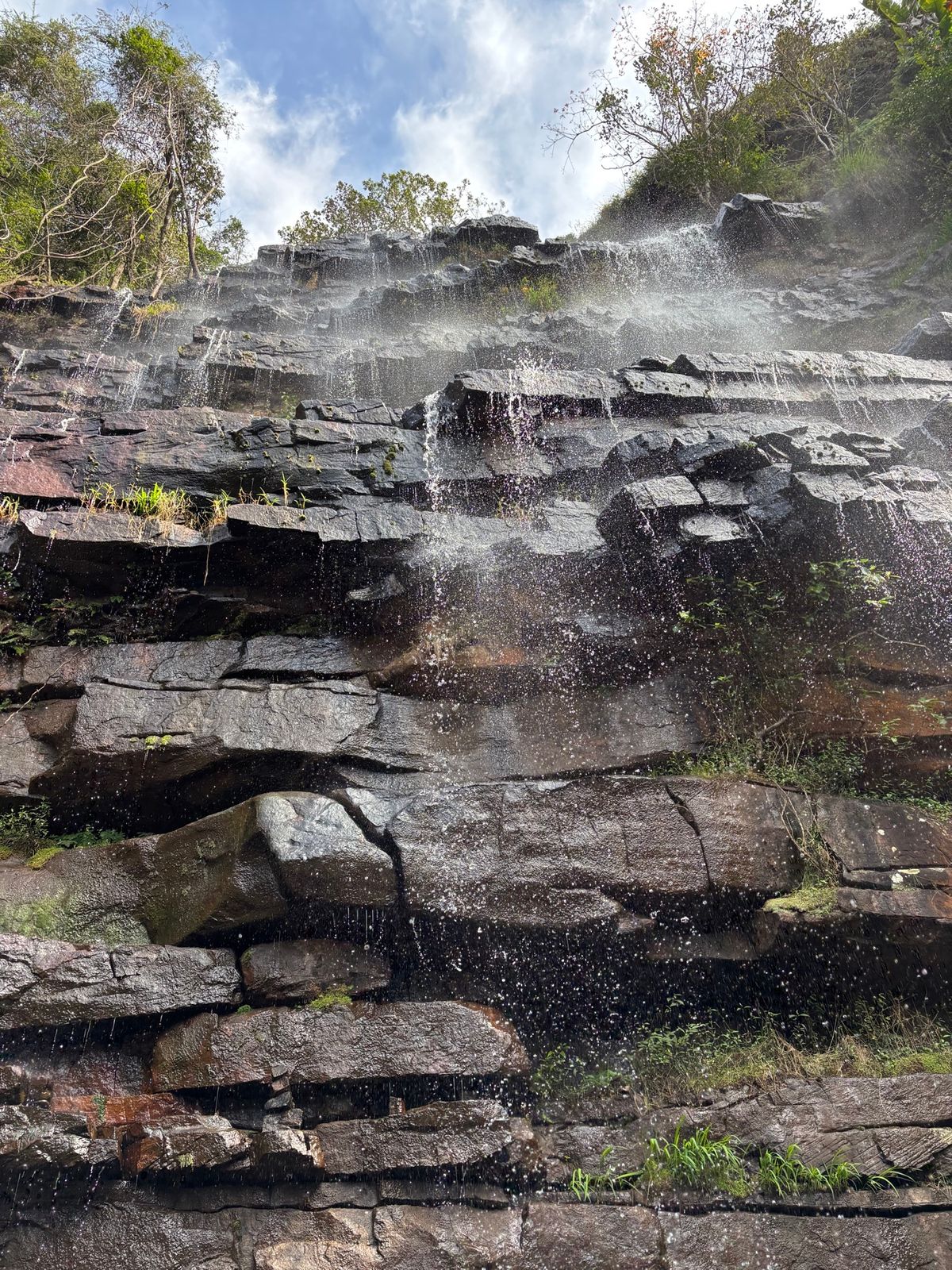 家族で森の探索へ行って来ました。ここは長短いろんなトレッキングコースが設定...