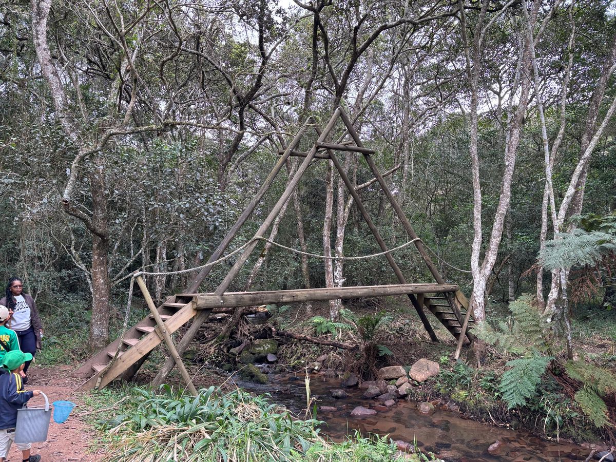 家族で森の探索へ行って来ました。ここは長短いろんなトレッキングコースが設定...