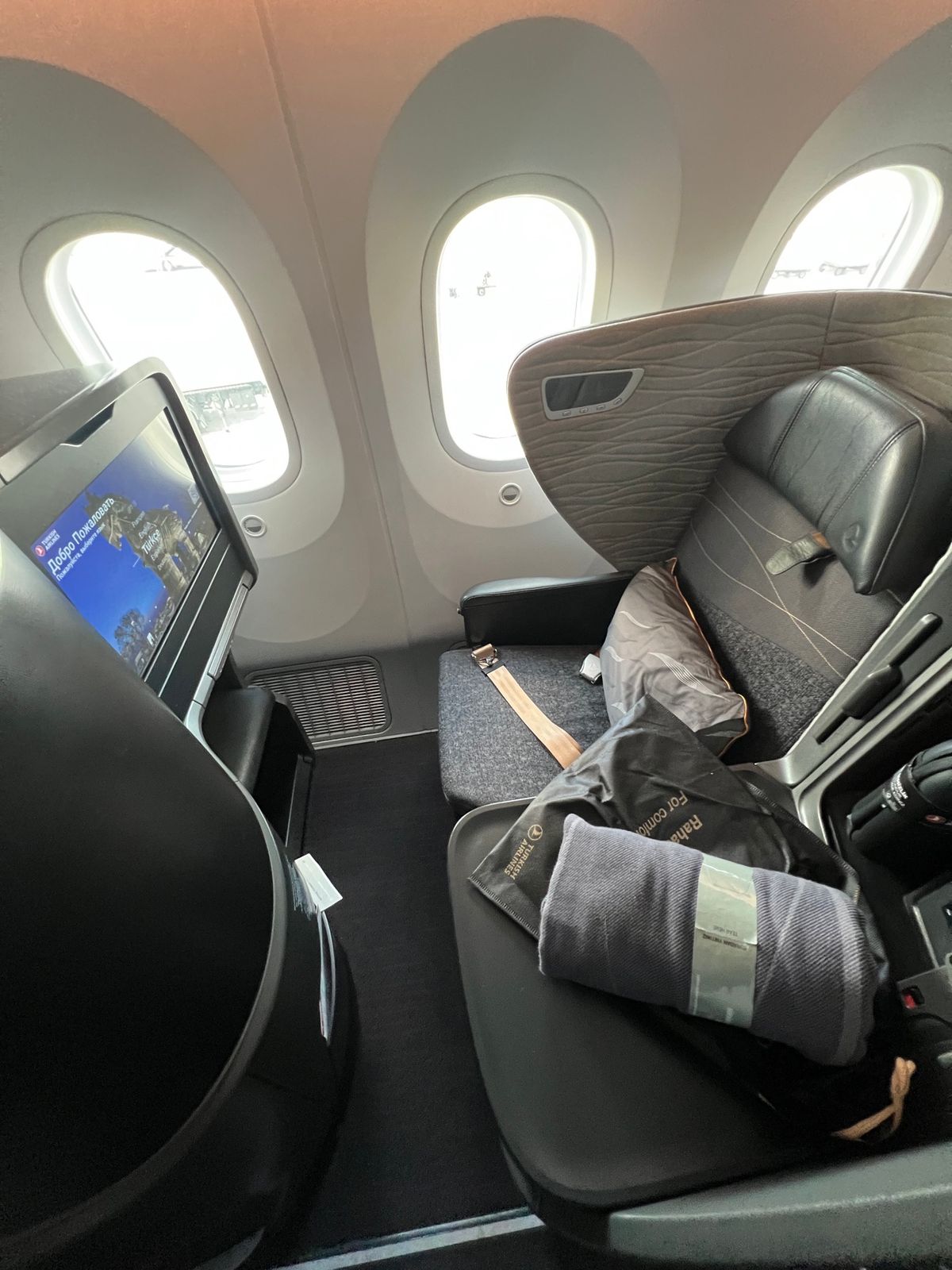 イスタンブール→成田
B787-9