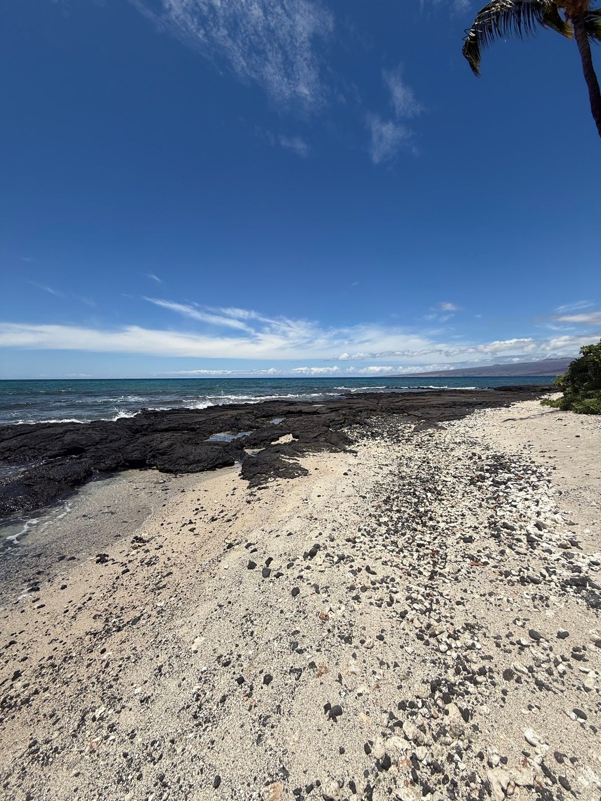 マウナラニはハワイ島の西側にあり、また雨もあまり降らない地域なので、毎日こ...