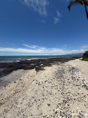 マウナラニはハワイ島の西側にあり、また雨もあまり降らない地域なので、毎日こ...