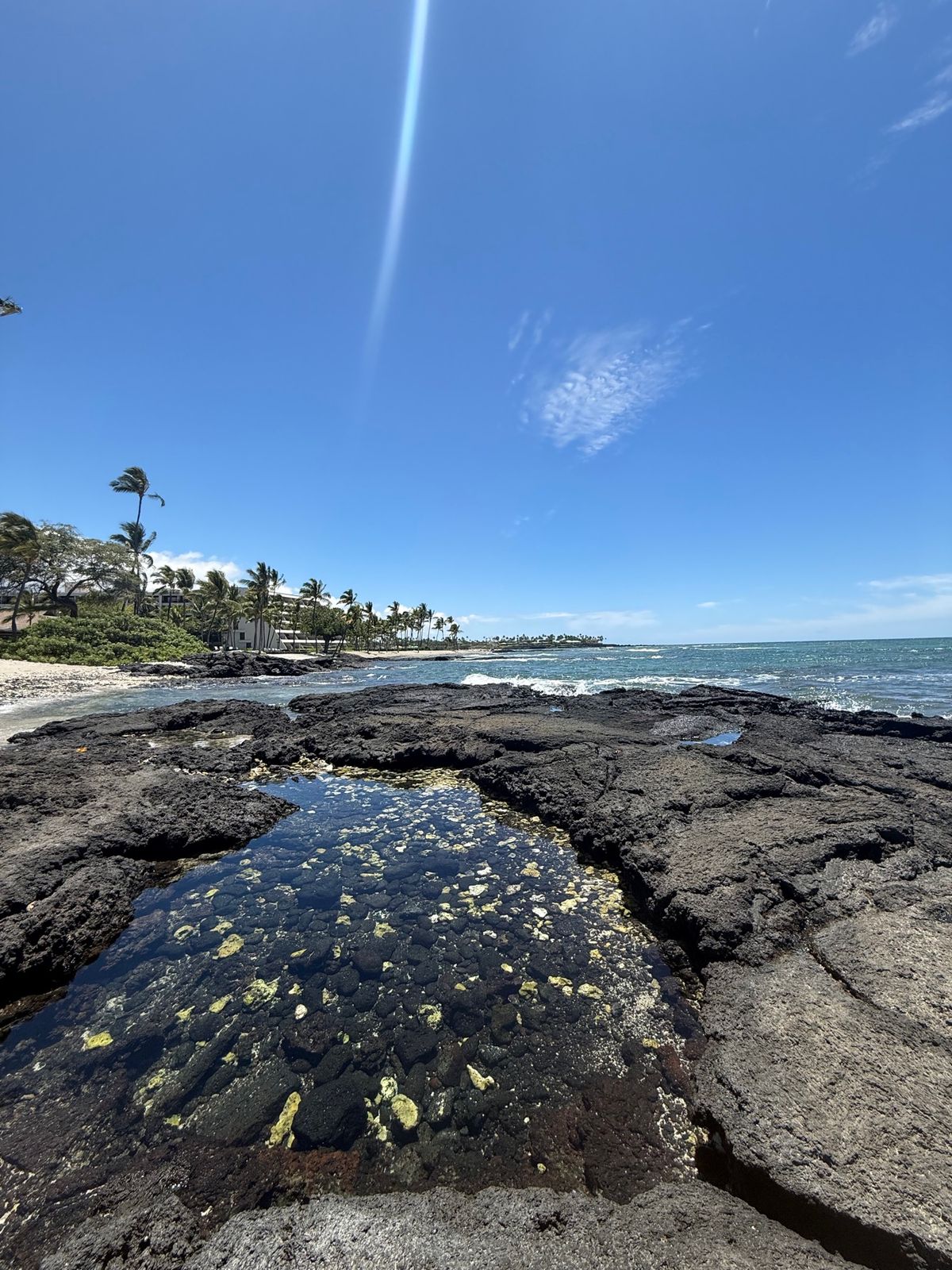 マウナラニはハワイ島の西側にあり、また雨もあまり降らない地域なので、毎日こ...