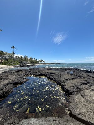 マウナラニはハワイ島の西側にあり、また雨もあまり降らない地域なので、毎日こ...