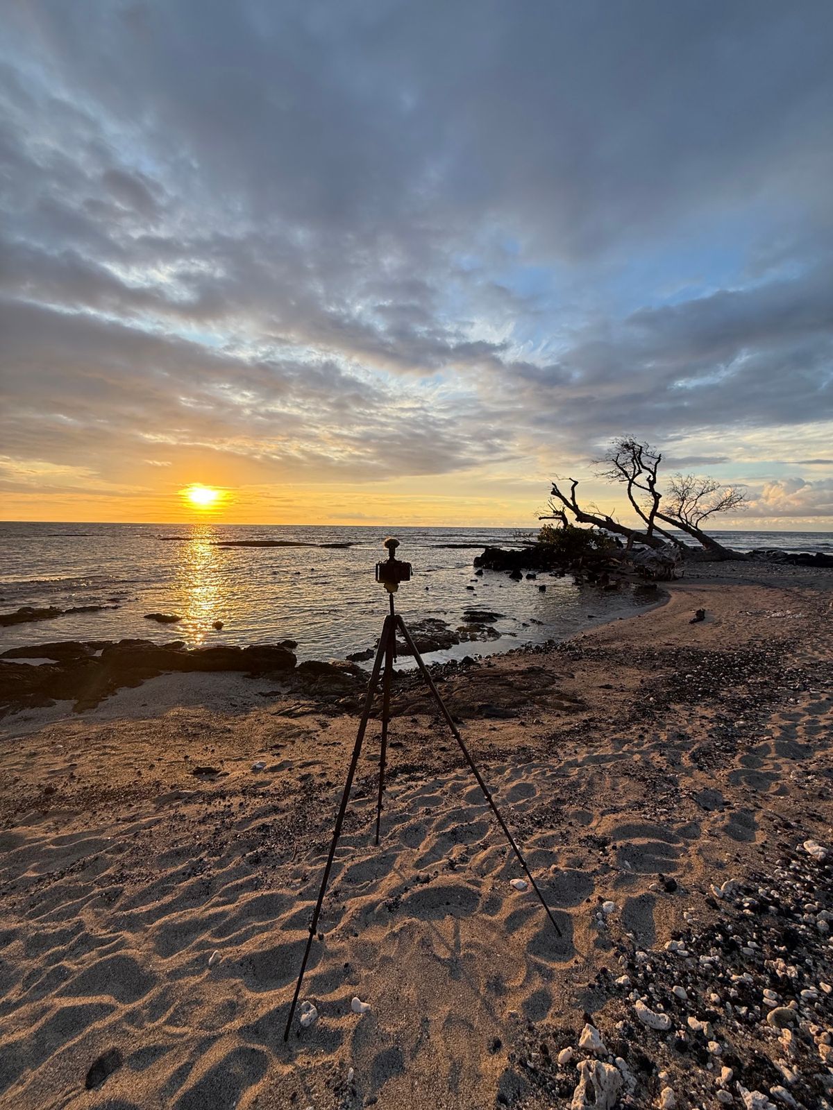 マウナラニはハワイ島の西側にあり、また雨もあまり降らない地域なので、毎日こ...