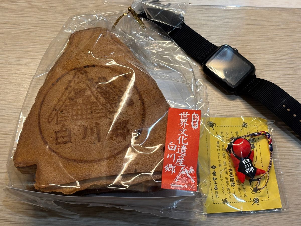 白川郷から帰ってきて、超高速金沢観光