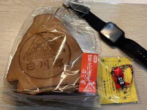 白川郷から帰ってきて、超高速金沢観光
