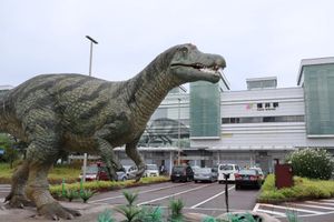 福井観光