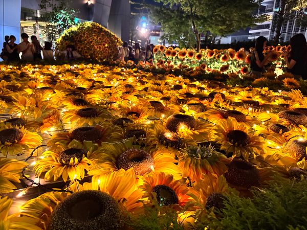 日本・愛知県「愛知旅行」の写真