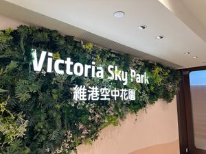 銅羅湾のショッピングビルの屋上からビクトリアハーバーを望む。

人は少なく...