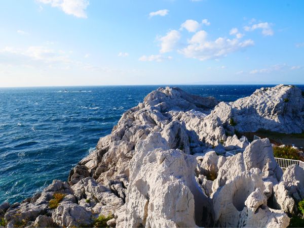 日本・横浜「和歌山旅行」の写真：白崎海洋公園