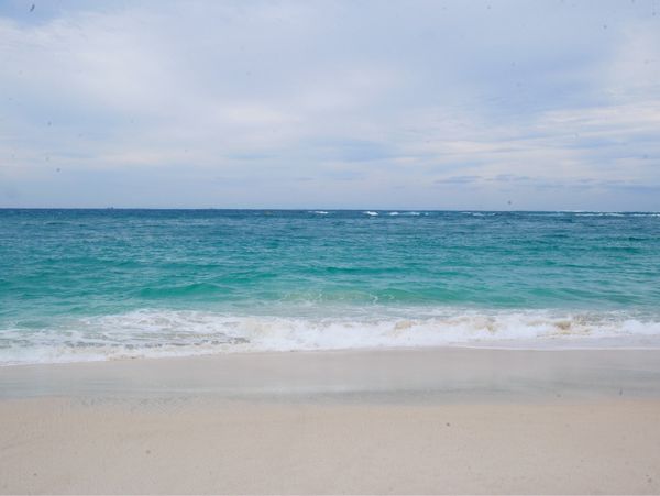 日本・横浜「和歌山旅行」の写真：由良浜