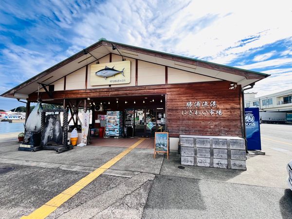 日本・横浜「和歌山旅行」の写真：勝浦漁港 にぎわい市場
