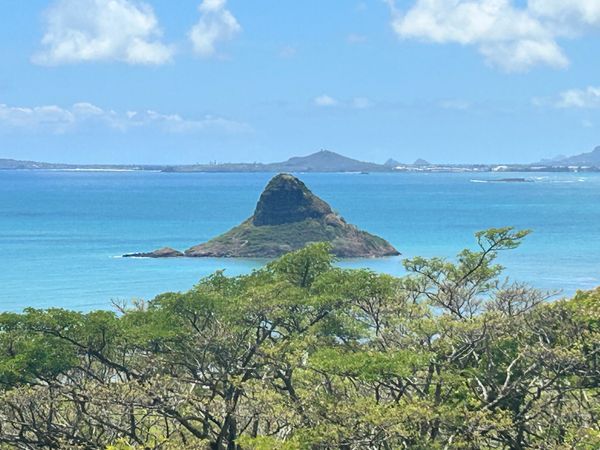 アメリカ(米国)・ワイキキ「ハワイ旅🌺」の写真