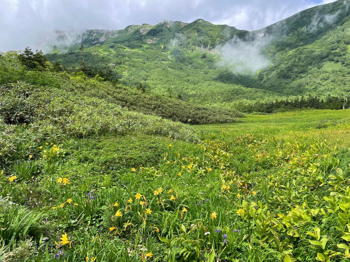 二日目はゴンドラに乗って栂池自然園にハイキングに行きました。