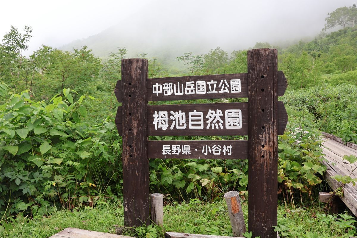 二日目はゴンドラに乗って栂池自然園にハイキングに行きました。