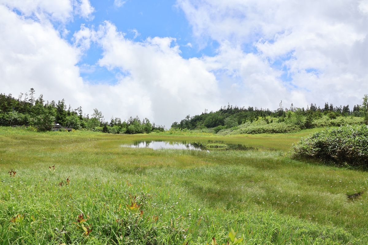 二日目はゴンドラに乗って栂池自然園にハイキングに行きました。