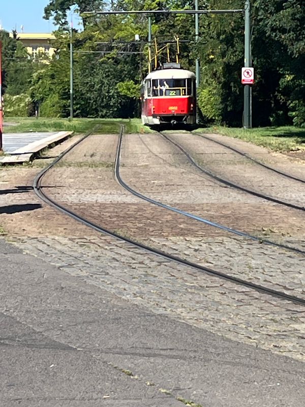 オランダ・Amsterdam「2025 クソ暑いプラハとアムステルダム」の写真