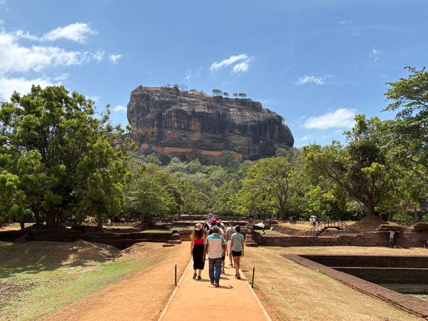 スリランカ・Colombo「インドの涙 スリランカ」の写真