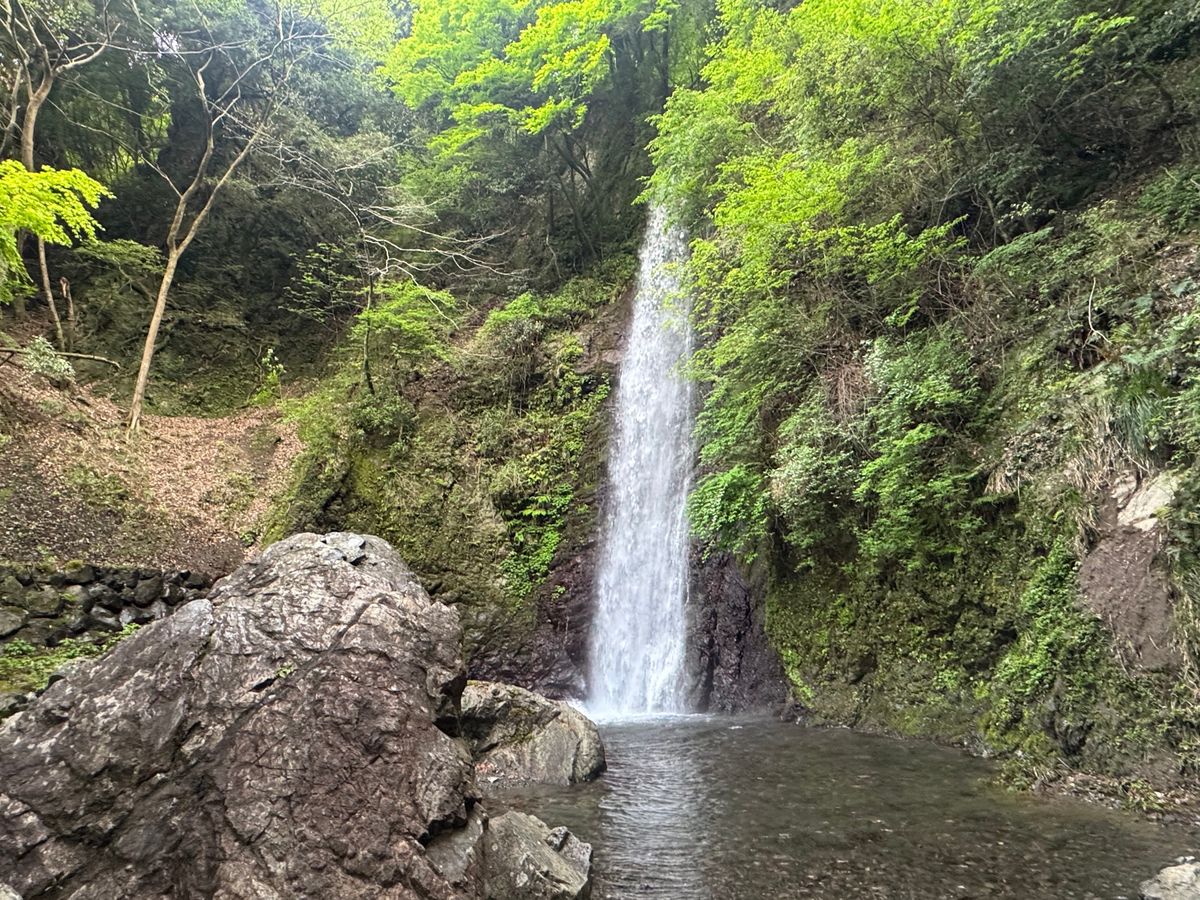 お宿で頂いた、吉備の羊羹が美味しすぎた…
もう一度食べたい。
そして、養老...