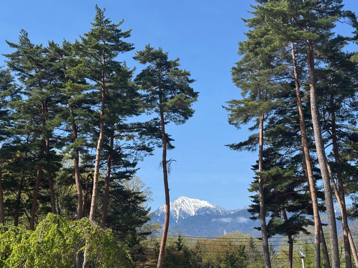 中村キース・ヘリング美術館
たまたまだったけどとても良かった
木々に囲まれ...
