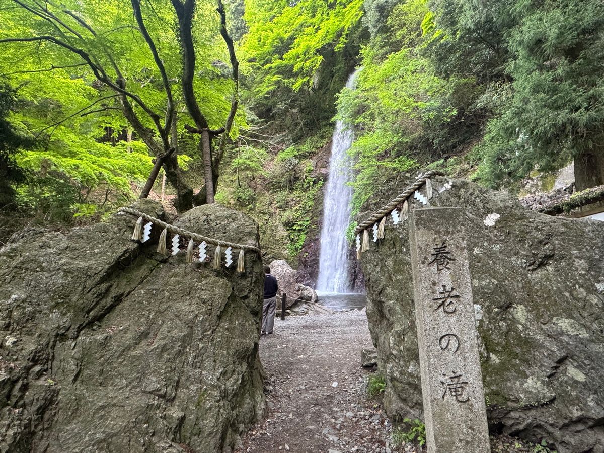 お宿で頂いた、吉備の羊羹が美味しすぎた…
もう一度食べたい。
そして、養老...