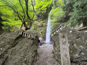 お宿で頂いた、吉備の羊羹が美味しすぎた…
もう一度食べたい。
そして、養老...