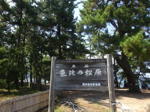 気比の松原