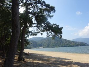 気比の松原