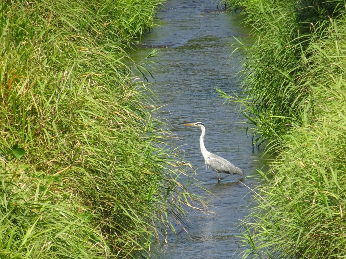 一乗谷朝倉氏遺跡