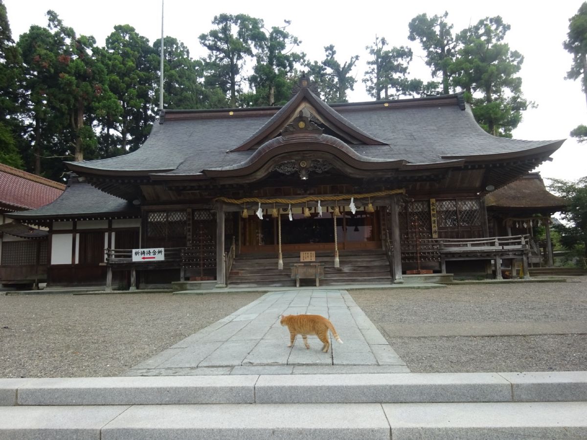 劔神社と猫太郎