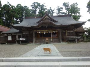 劔神社と猫太郎