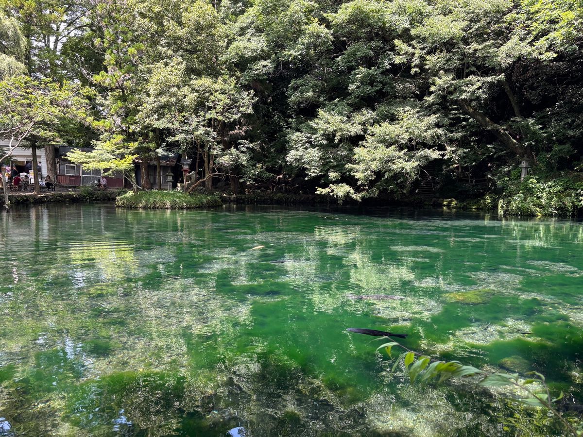 佐野ラーメン　大和
出流原弁天池