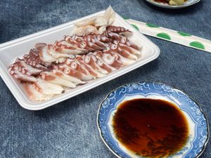 鷲羽山展望台
下津井港　タコ
丸亀　うどん
岡山　うらじゃ
倉敷　美観地区...
