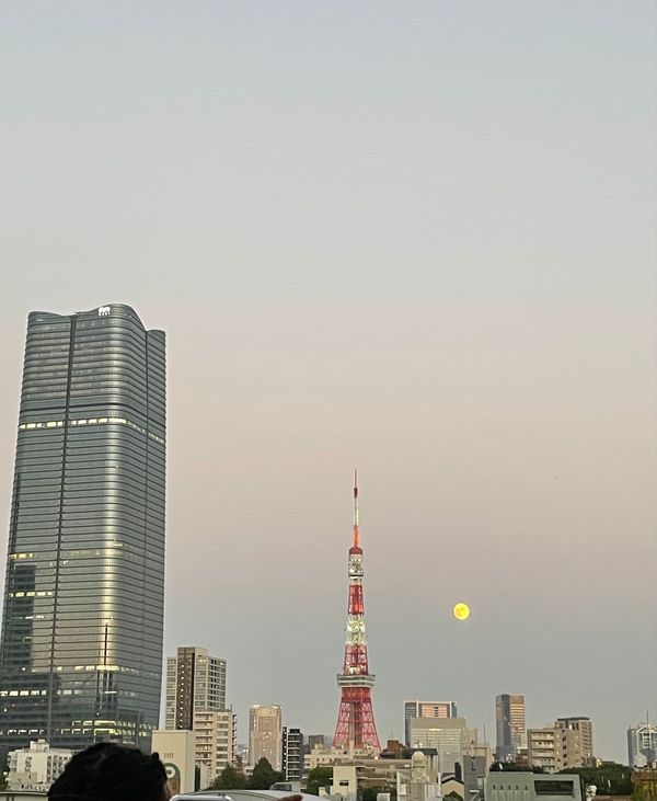 日本・東京都「美術館訪問」の写真