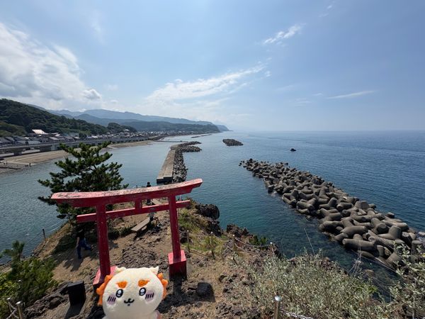 日本・新潟県「上様謁見🦀ブラタモリ」の写真