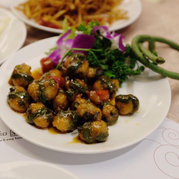 台湾・台北「台湾」の写真