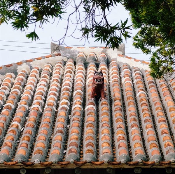 日本・竹富島「石垣島・竹富島」の写真