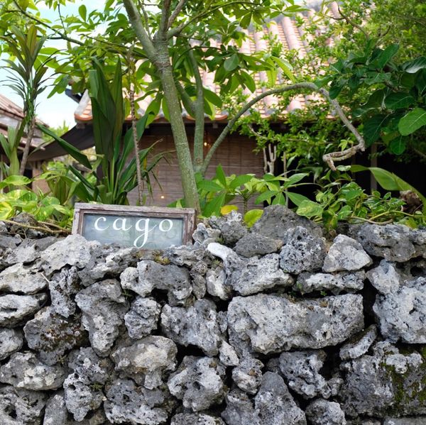 日本・竹富島「石垣島・竹富島」の写真